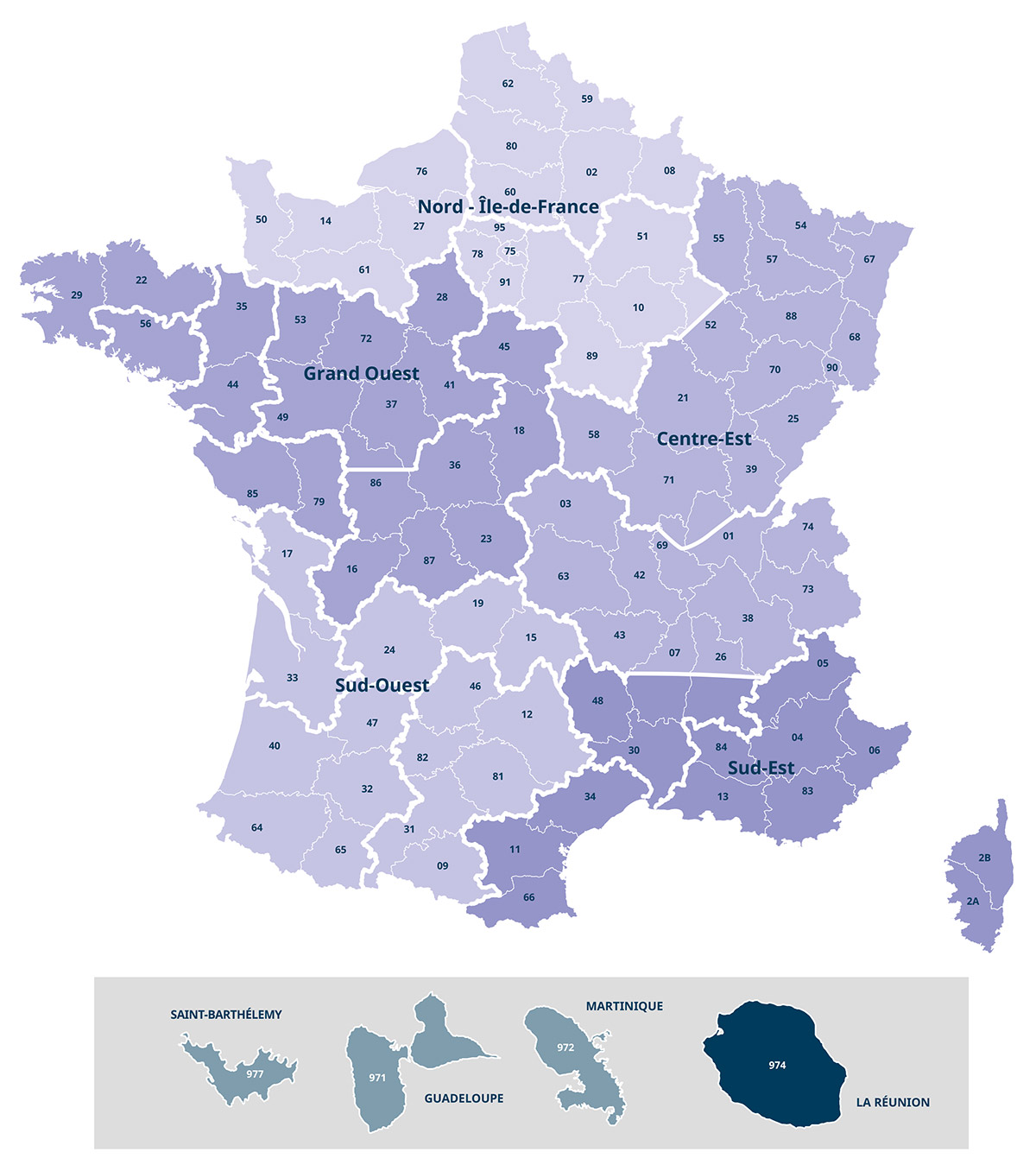 Carte Organisation Stereau